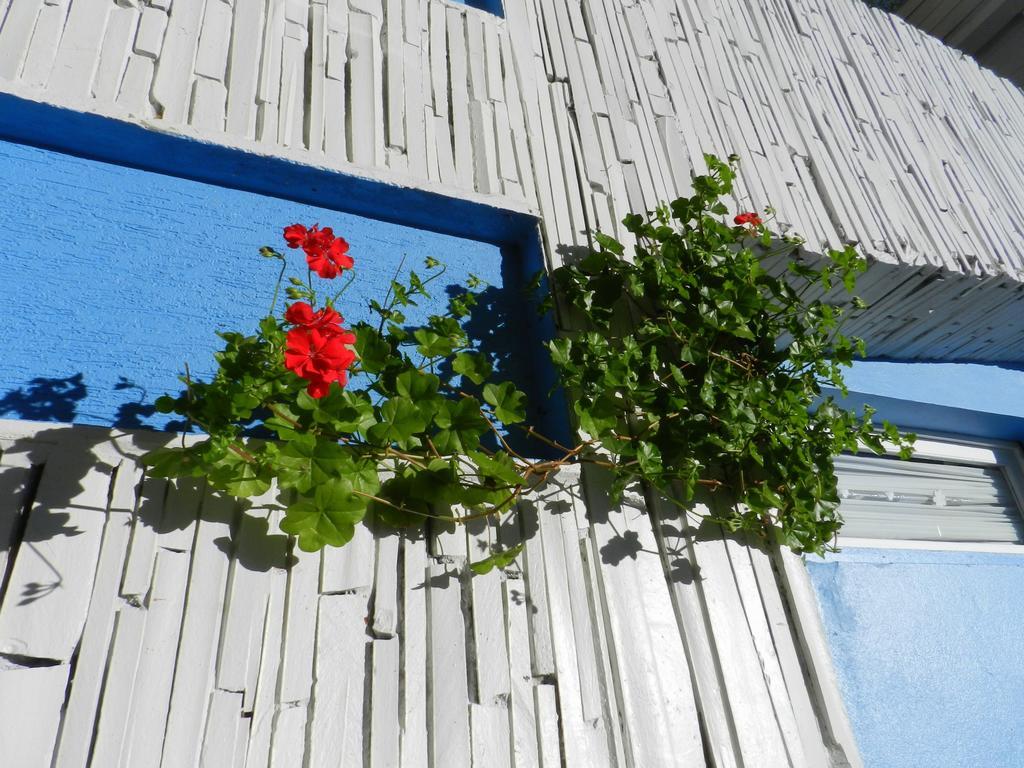 Pousada Jardim Azul Hotel Canela Exterior foto